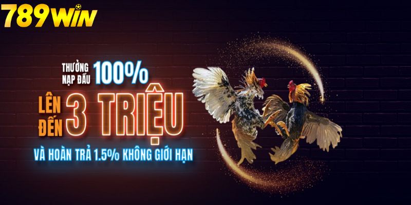 Sảnh đá gà trực tuyến chất lượng của 789win